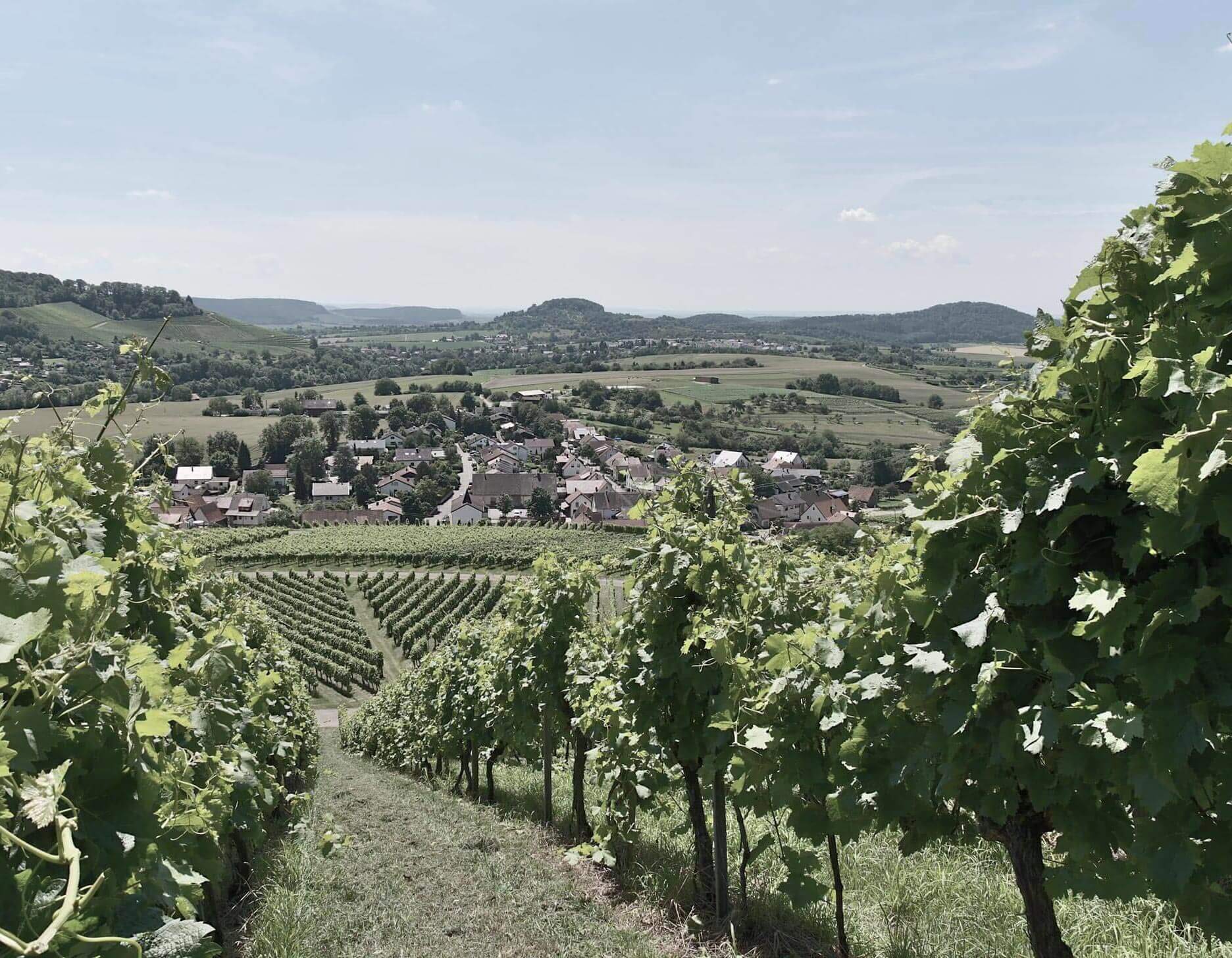 Ekologická zóna Ilsfeld